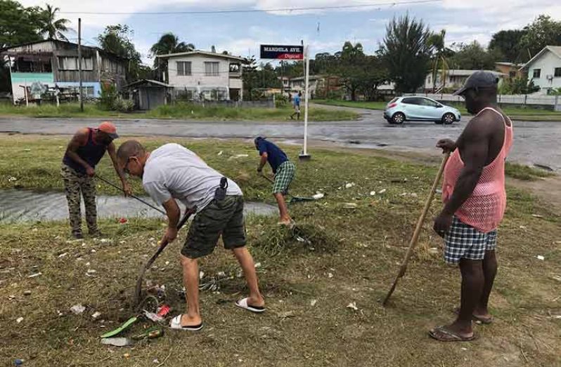 Residents pitching in to help enhance Tucville