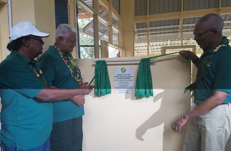President David Granger (right) and Minister Holder (second left), with the help of Dr. Homenauth, doing the honours of unveiling the commemmorative plaque at the official dedication of the turmeric factory on Sunday