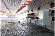 Construction is underway on several tunnel houses for poultry production; a transformative project aimed at modernising the local poultry industry