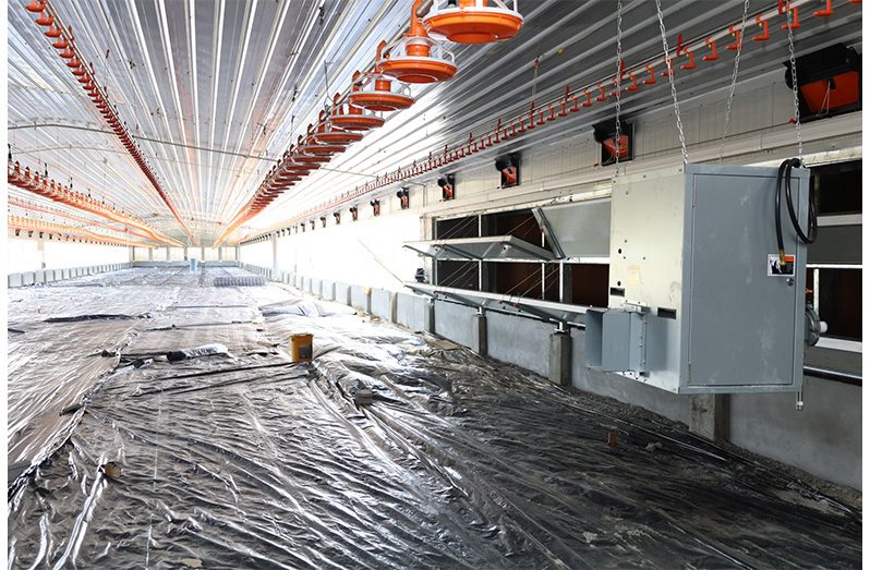 Construction is underway on several tunnel houses for poultry production; a transformative project aimed at modernising the local poultry industry