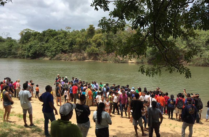 The attendees of the Turtle Festival flocked the river side to witness the turtles being placed into the river