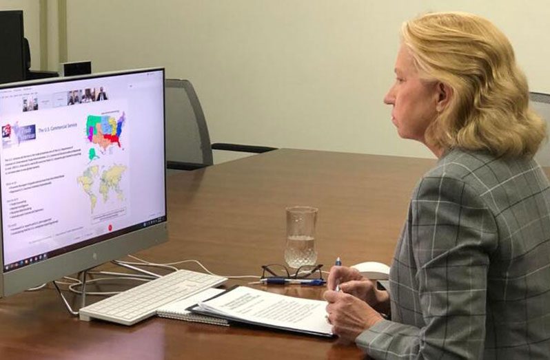 United States Ambassador to Guyana, Sarah-Ann Lynch, during the webinar
