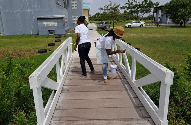 The students enhanced the looks of a number of bridges on the university campus (Rawle Jadunath photo)