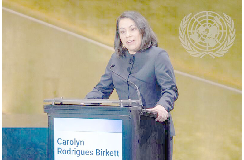 Ambassador Carolyn Rodrigues-Birkett