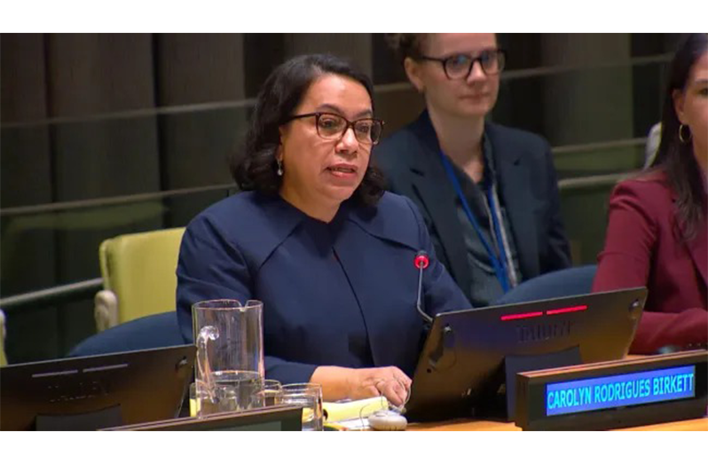 Ambassador Carolyn Rodrigues-Birkett