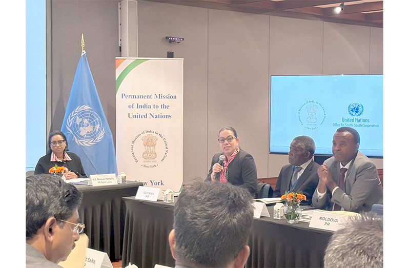 Guyana’s Permanent Representative to the United Nations, Her Excellency Carolyn Rodrigues-Birkett, on Friday, participated in the India–UN Development Partnership Fund Annual Event