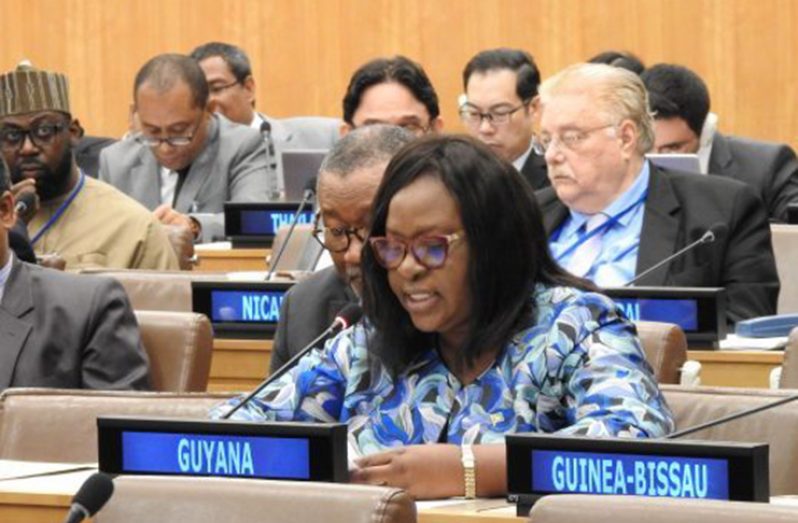 Minister of Foreign Affairs, Dr. Karen Cummings at UN General Assembly meeting
