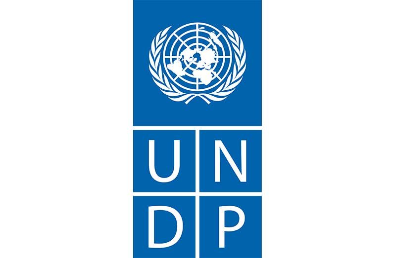 UNDP