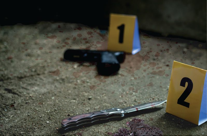 The firearm that was recovered