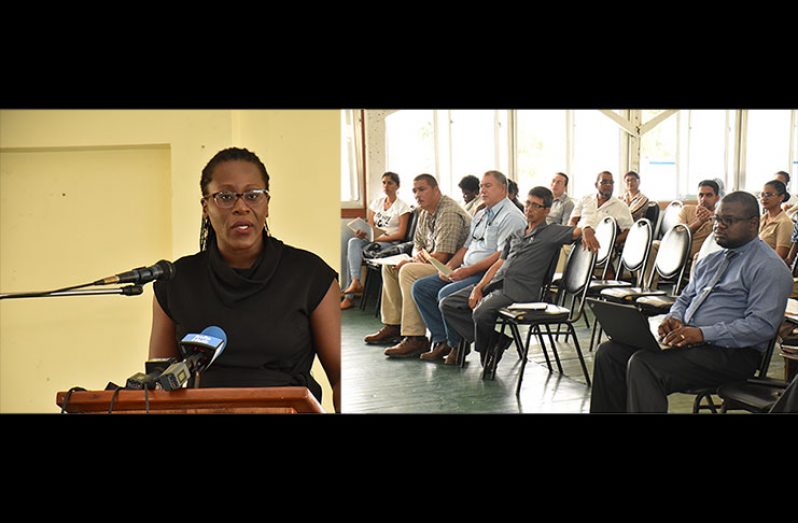 Head of the Department of Environment, 
Ms Ndibi Schwiers addressing participants yesterday at the opening of consultations on the way forward with regard to wildlife management (Photo courtesy MOTP)