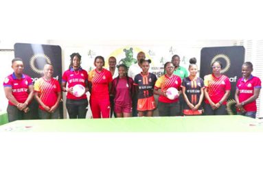 Players and officials at the launch of the league on Wednesday