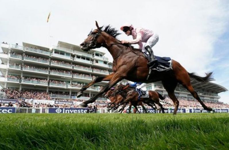 Anthony Van Dyck earned his place in the Epsom Derby by winning the Lingfield Derby Trial in May.