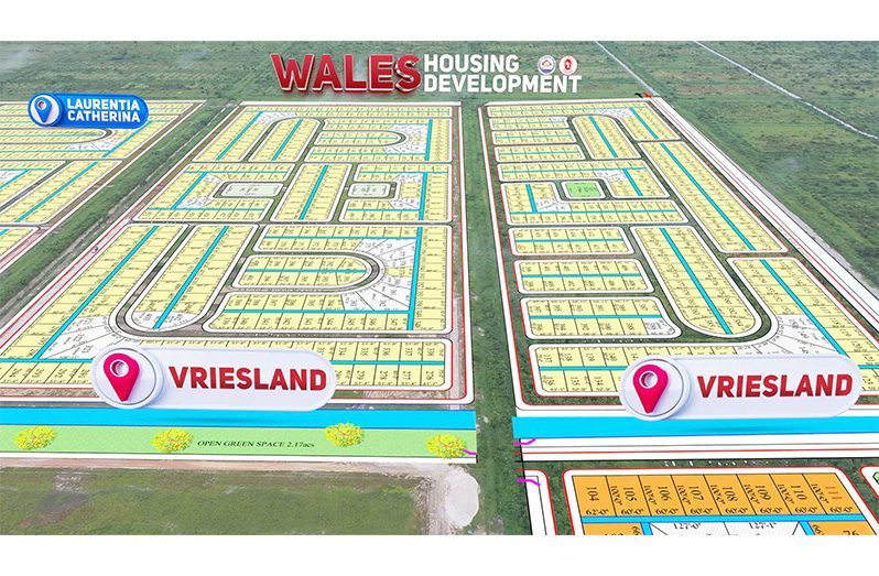 Approximately 400 families recently allocated house lots in Vriesland and Laurentia Catherina eagerly participated in a site visit and virtual tour of the developing housing schemes with Minister within the Ministry of Housing and Water, Susan Rodrigues and technical staff of the CH&PA on Friday