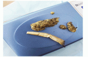 The cannabis and ‘joint’ found by the police on Sunday at Vergenoegen