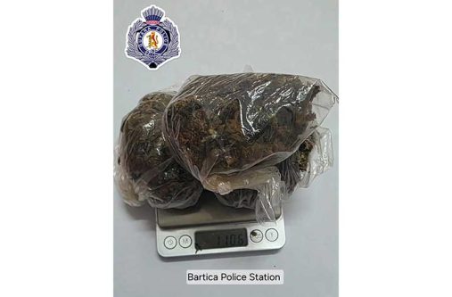 The parcel reportedly contained three transparent packages with leaves, seeds and stems suspected to be cannabis