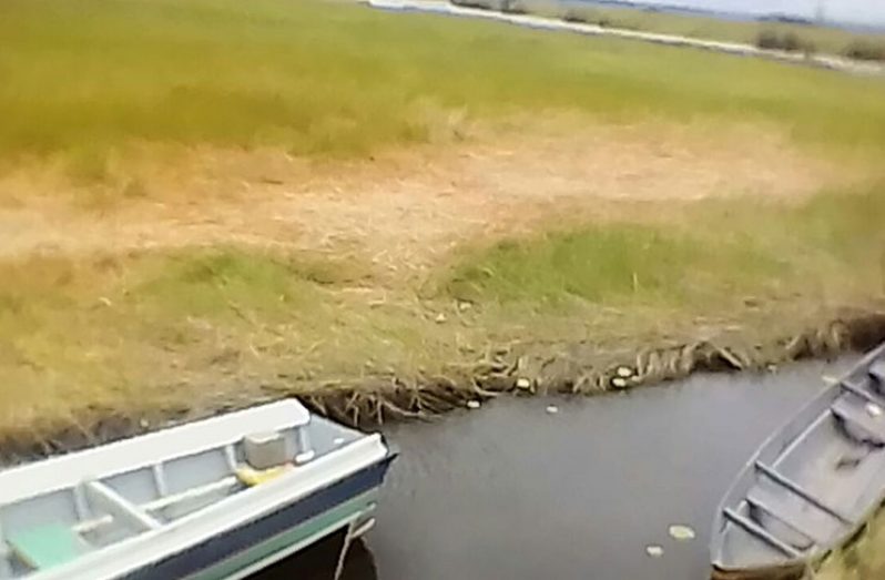 There has been a significant drop in the water level in canals and other sources of water in the Amerindian community of Wakapao, Lower Pomeroon River