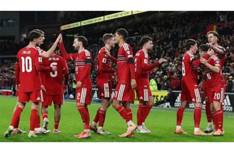 Wales have won eight of their 16 matches under Craig Bellamy