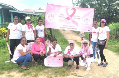 The WPO hosted the first ever cancer activity outside of the school system