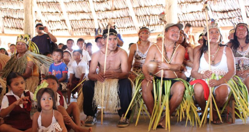 Wapichan people at last week’s Global Call to Action on Indigenous peoples and community land rights