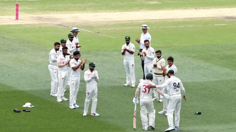 David Warner was given a guard of honour by Pakistan  •  (Getty Images and Cricket Australia)