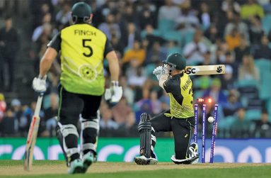 David Warner knocked the ball accidentally onto his stumps October 21, 2022 (Getty Images)