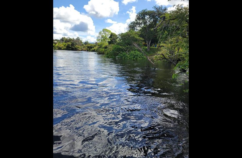 The area where the boat collision occurred (GPF photo)
