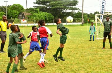 The Courts Pee Wee Football tournament returns today for round three (Adrian Narine photo)