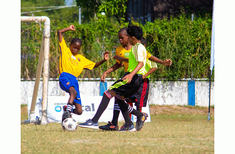 the finalists of the 2023 courts optical football tournament will be decided today