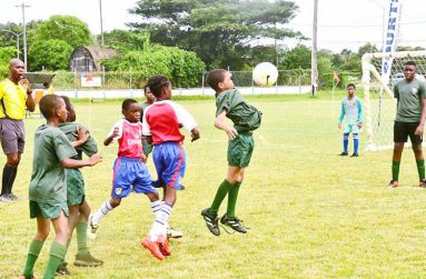 Quarter-final action commences today in the Courts Pee Wee Football Tournament