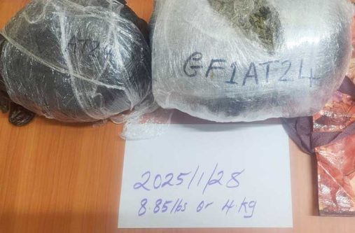 The suspected narcotics seized by police