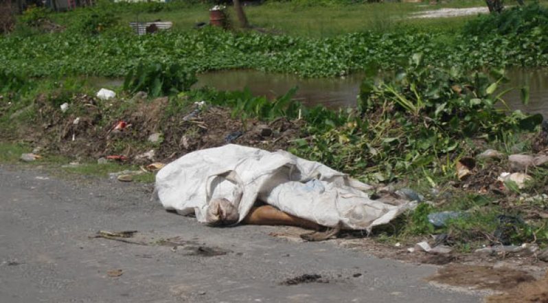 The body of the missing man, covered with bags, lying on the road next to the trench where he was found.