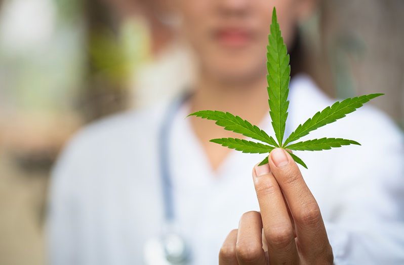 Weed