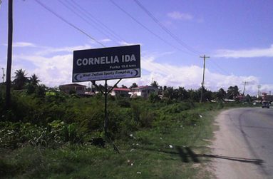 Welcome to Cornelia Ida
