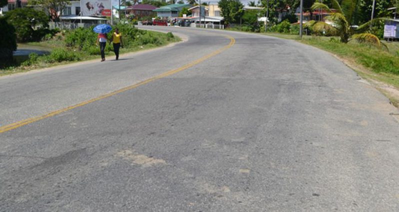 A section of the West Coast Demerara road