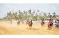 Horse Racing action from the Bush Lot United Turf Club’s AJM Stakes