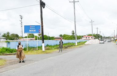 Welcome to Whim Village
(Photos by Delano Williams)