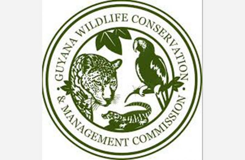 Wildlife-logo