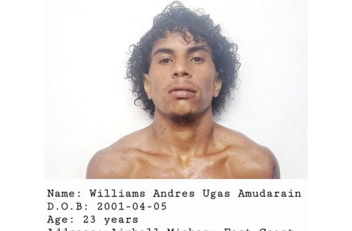 Murder accused: Williams Andres Ugas Amudarain