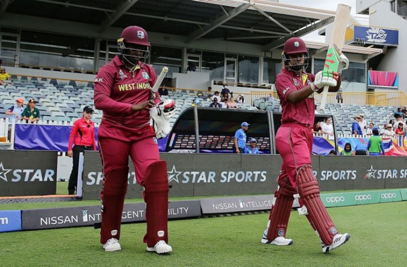 Coach Gus Logie says West Indies batters were pretty timid the whole series.