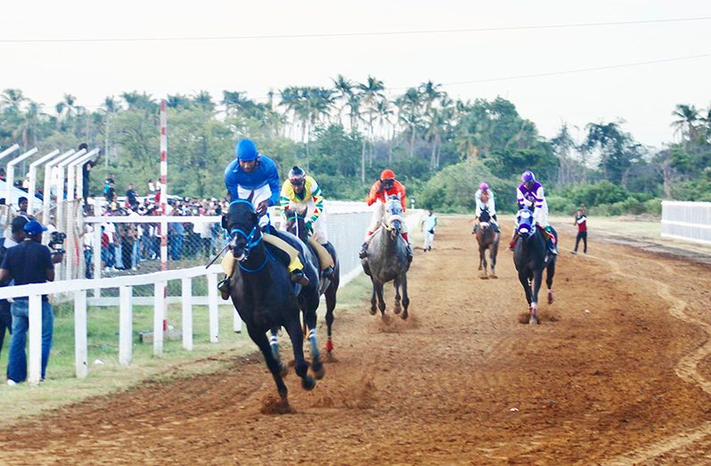 Easy Time stormed to victory at Port Mourant Turf Club