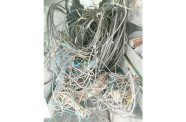 GPL, through its Loss Reduction Department, conducted an illegal connection removal exercise on Wednesday at Kuru Kuru College Road, Soesdyke Highway