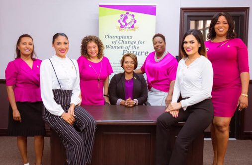 The Board of Directors of the Women’s Chamber of Commerce and Industry- Guyana (WCCING) includes Kerensa Gravesande-Bart (centre), Lyndell Danzie-Black (third from right), Sherry Ann Dixon, Jennifer Cipriani, Latoya Jack,  Rowena Elliot and Christine Camacho