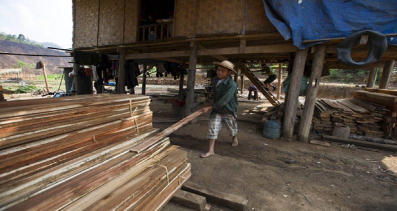 Wood