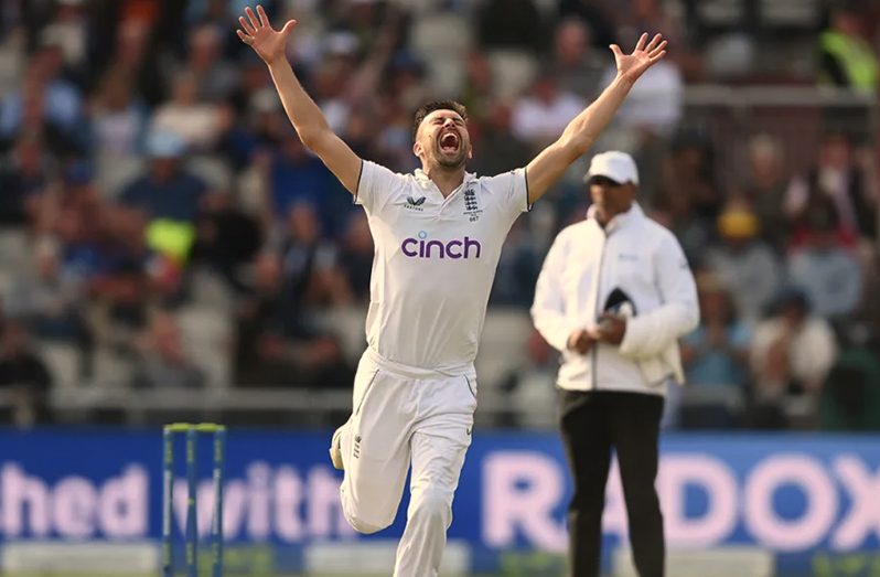 Mark Wood bounced out Steven Smith  •  Getty Images