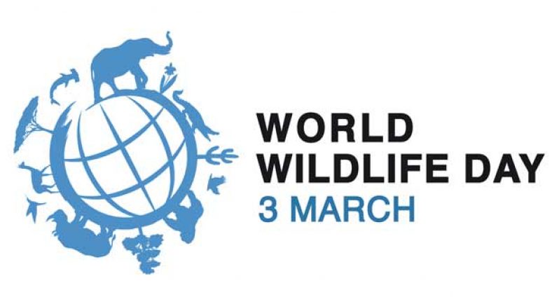 World_Wildlife_Day_2014