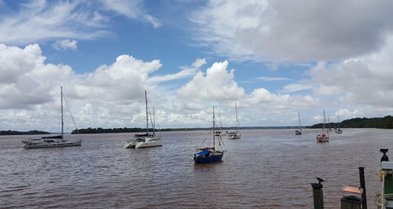 Several yachts arrived in Guyana for the annual Nereid’s Yachts Rally. They moored in the Essequibo River just off the Hurakabra Resort (Photo by Michel Outridge)