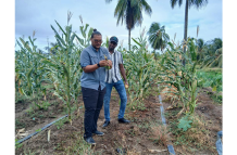 Yannick Roberts in the fields, his ideal place of work.