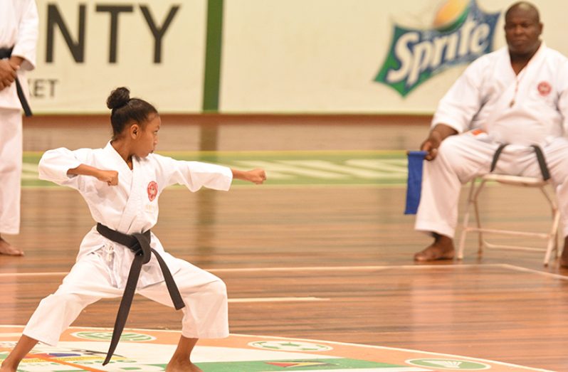 A pillar of focus! In this Samuel Maughn photo, a young lady displays her kata stance in front of the judges.