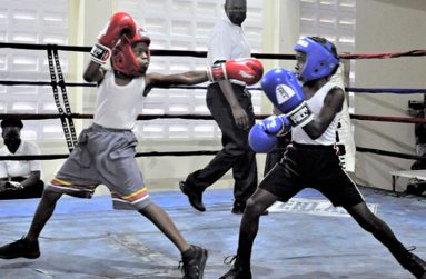 The Guyana Boxing Association continues to invest in their youth