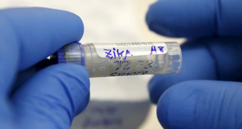 A health technician analyzes a blood sample from a patient bitten by a mosquito at the National Institute of Health in Lima, Peru, February 2, 2016.